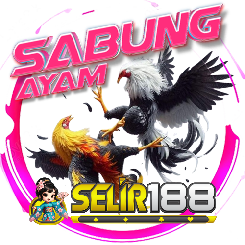 sabung ayam